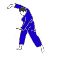 roll Judo Falling Techniques -- Ukemi 