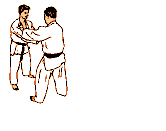 ani012b Judo Videos: Grappling, Newaza, Matwork 