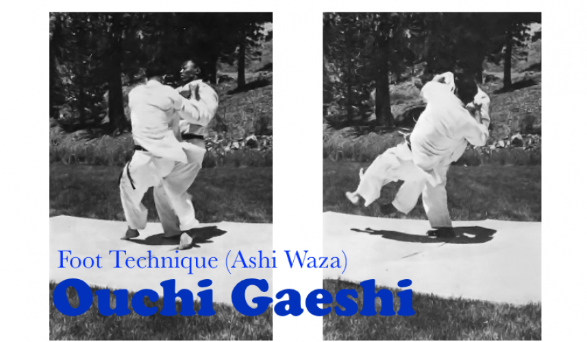 d1e94916473ec81657adf3b99b986ed9 Ouchi Gaeshi (Major Inner Reversal) Technique 