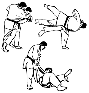 haraigos Judo Etiquette by Jerry Dalien 