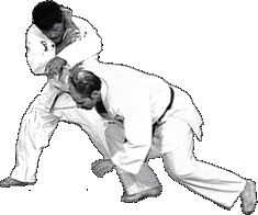 armbar THE NOBLE STRUGGLE OF THE WARRIOR: WHAT IS BUDO? 