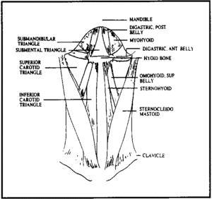 choke2-300x282-300x282 choke2-300x282 