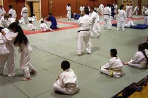 dojo-300x199-300x199 dojo-300x199 