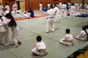 dojo-360x240-300x200 dojo-360x240 