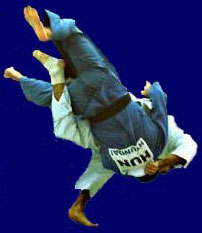 haraigoshi A FLAWED PREMISE -- Judo Technique 