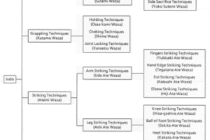 heirarchy-360x240-300x200 heirarchy-360x240 