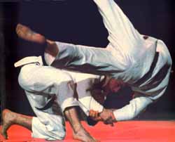 nage Murphy’s Laws of Martial Arts 