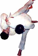 obi The Judo Rank System - Belts 