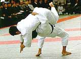 uranage The Judo Rank System - Belts 