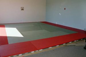 tatami1-300x200 tatami1 
