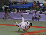 univ049 Judo Photos of Competition 