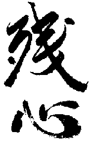 zanshin Japanese Judo Terms 